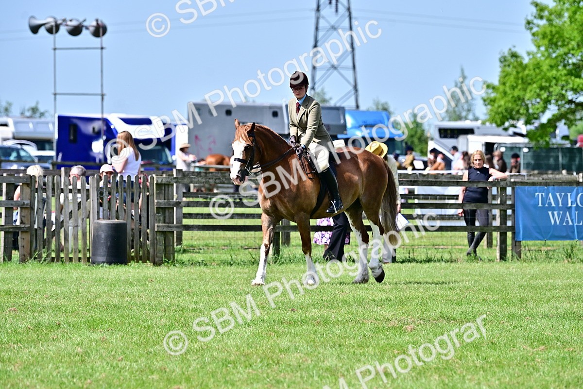 SBM_03846 - Class 58 - TSR  Ridden Veteran Amateur of the year