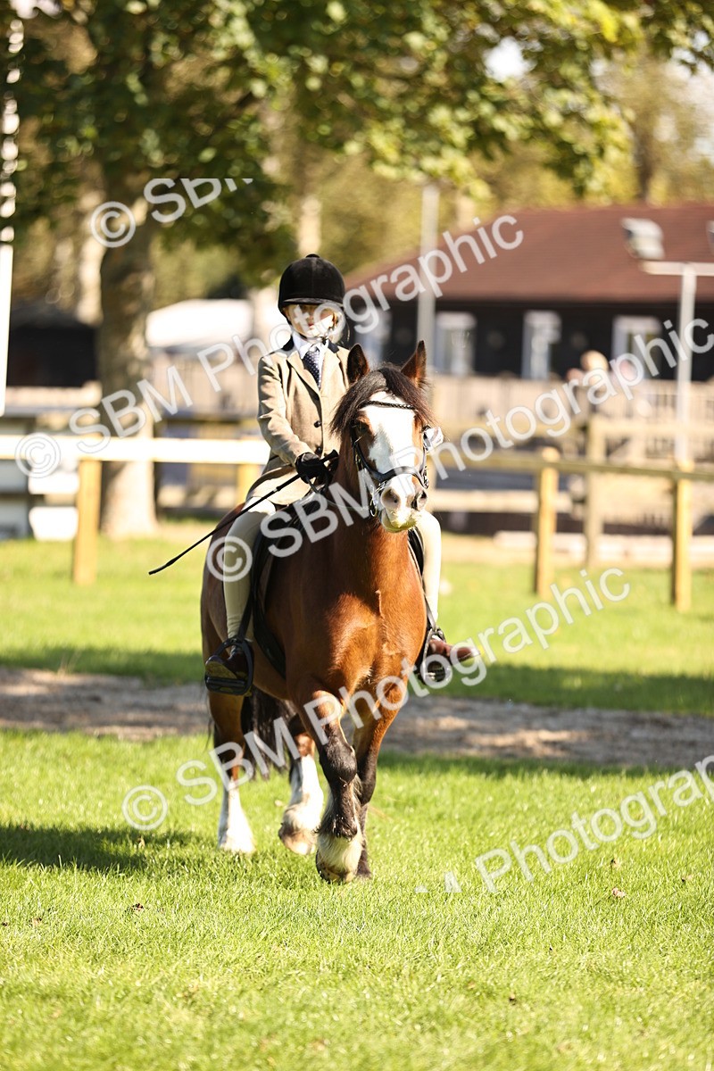 SBM_19158 - S3 - TSR Ridden Pony Showing