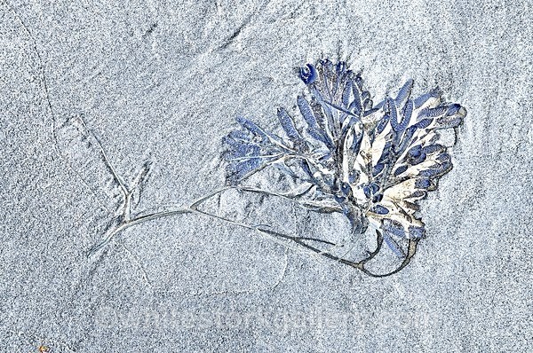  - The Sand Gallery