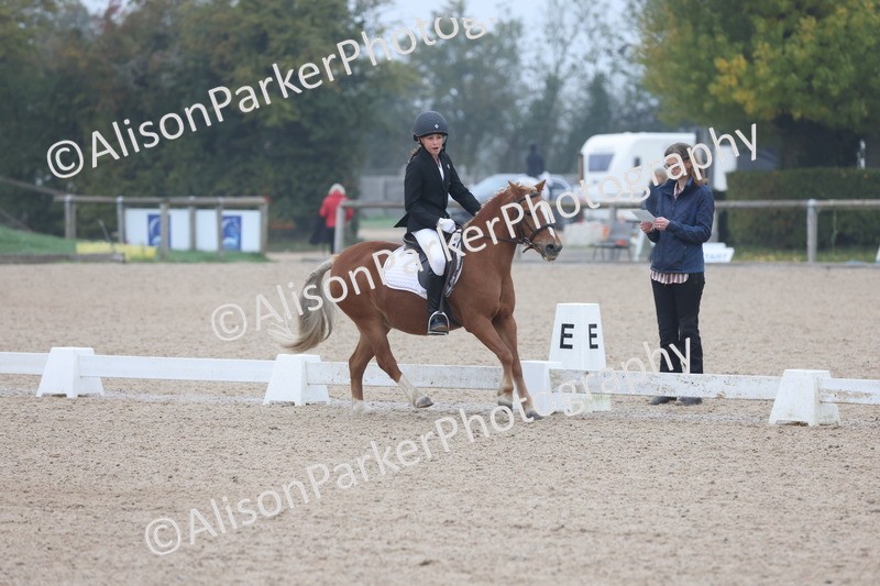 20251012-0073 - Class 1 - Prelim 5