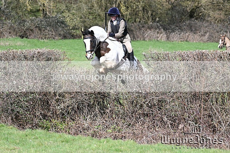 WJ7_6810 - Edited examples