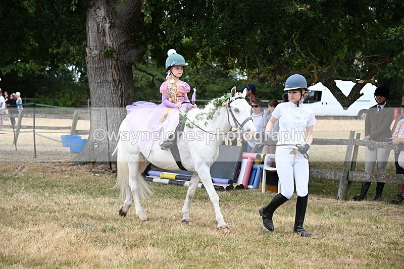 WJ6_4623 - Class 11 Fancy Dress