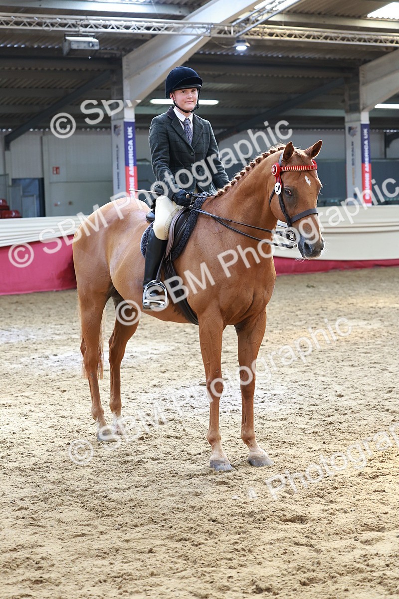 SBM_14974 - Class 108 - Ridden Retired Racehorse