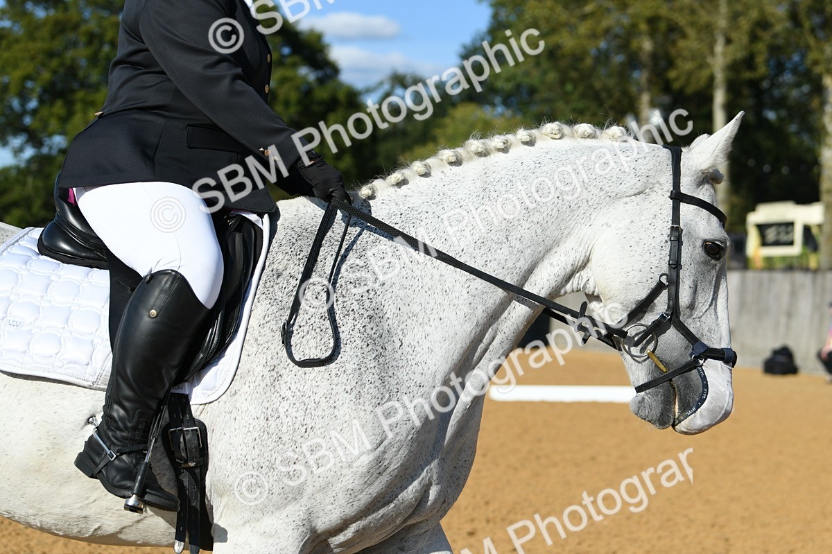 SBM_27276 - D16 - Small Tour Championship - Novice 28