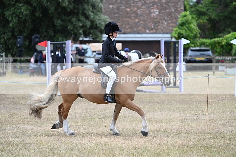 WJ7_7184 - Class 2 Best Rider