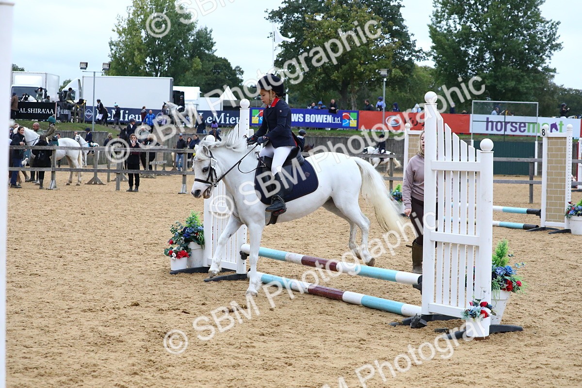 SBM_68376 - J3b - Mini Tour Junior Pony 40cm Championship