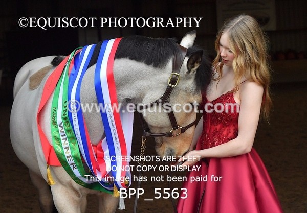 BPP_5563 - Marion West pony 1