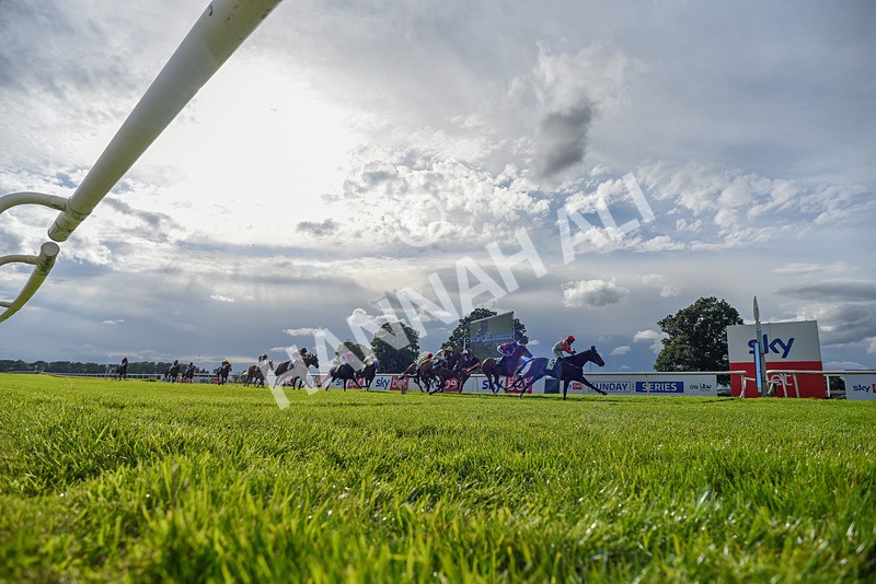 160624-Race 6-Letsbefrank-1028 - Race 6