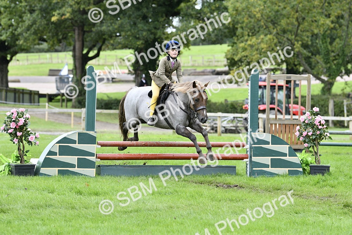 SBM_41338 - S32 - Mountain & Moorland Working Hunter Pony