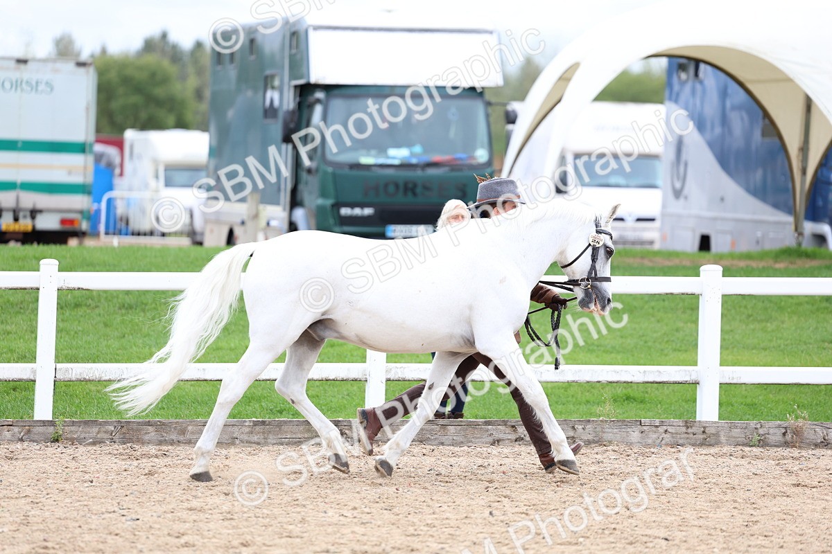 SBM_05887 - Class 29 - IH Veteran Pony