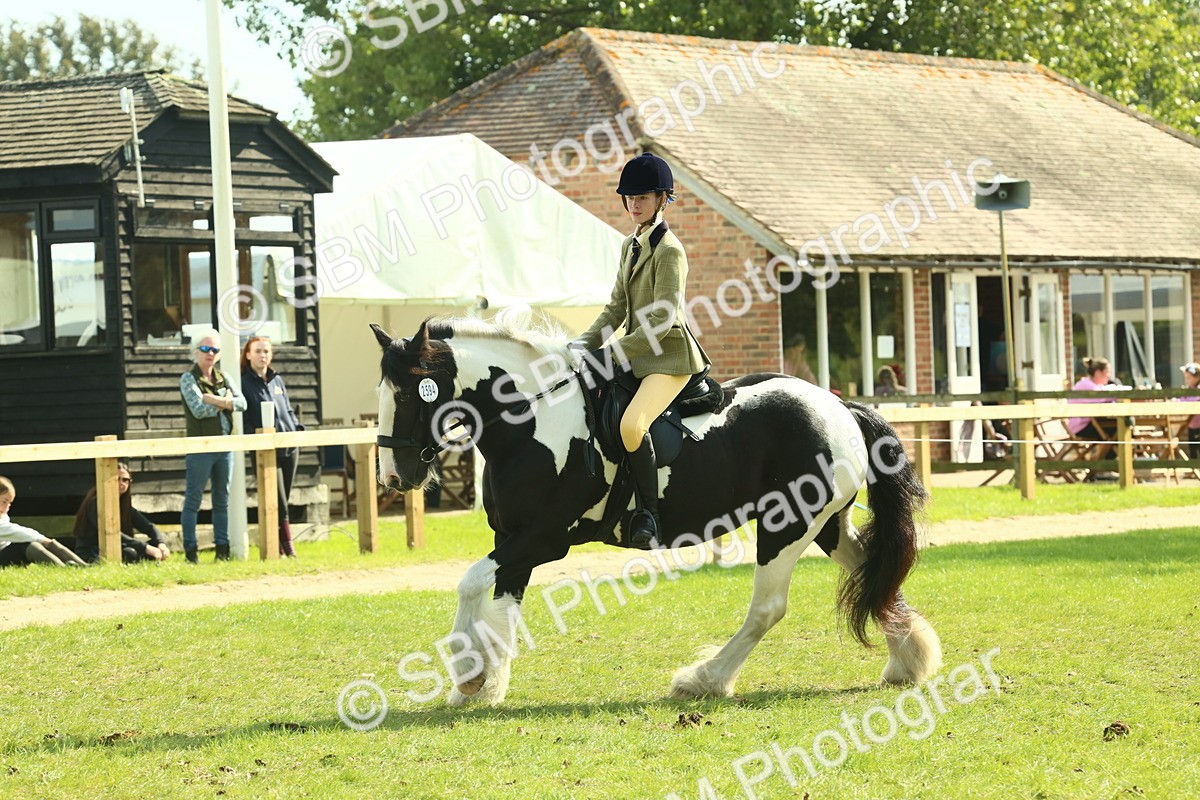 SBM_67600 - S56 - Coloured Pony Ridden