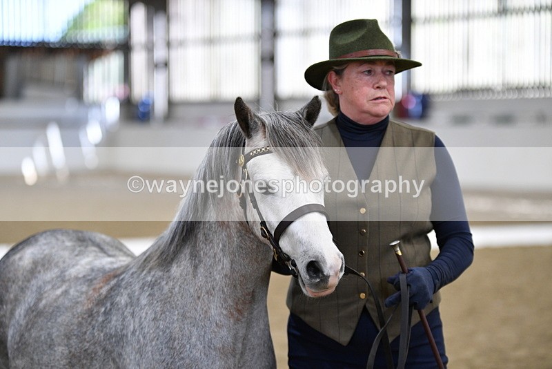 WJ5_5321 - Class 4 In hand M&M - small breeds