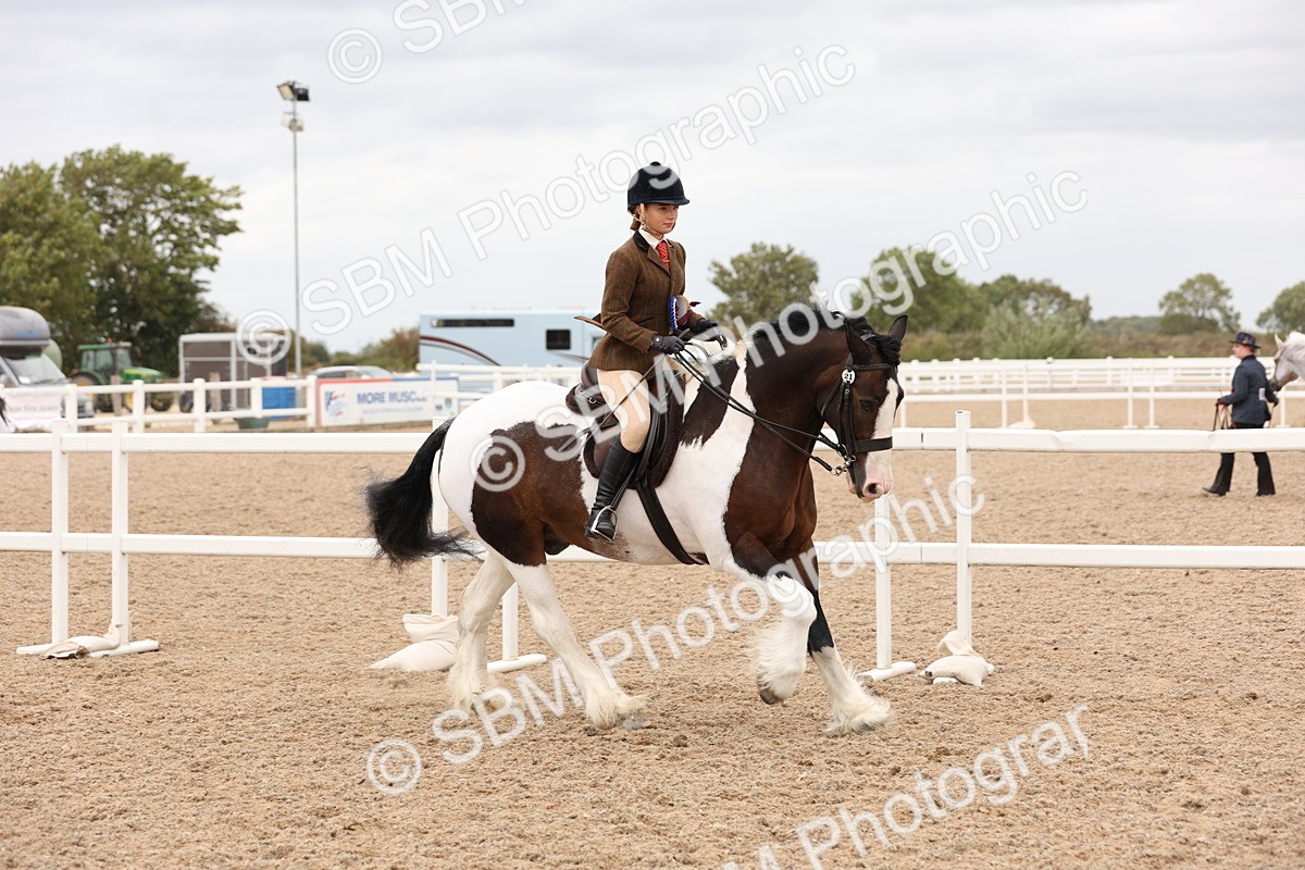 SBM_19751 - Class 216 - Ridden Traditional - Native Cob