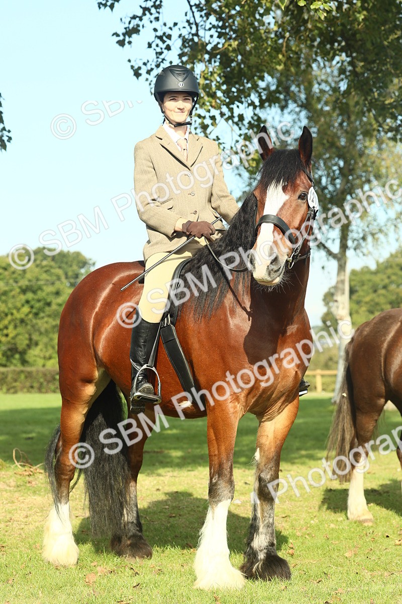 SBM_60010 - S38 - Starters Ridden Showing