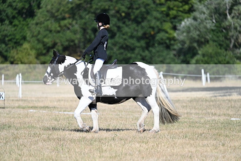 WJ7_9371 - Time 10:08 to 10:13