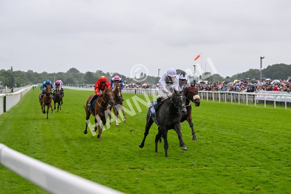 130724-Race 4-Alsakib-7478 - Race 4 3.45pm John Smith's Silver Cup Stakes