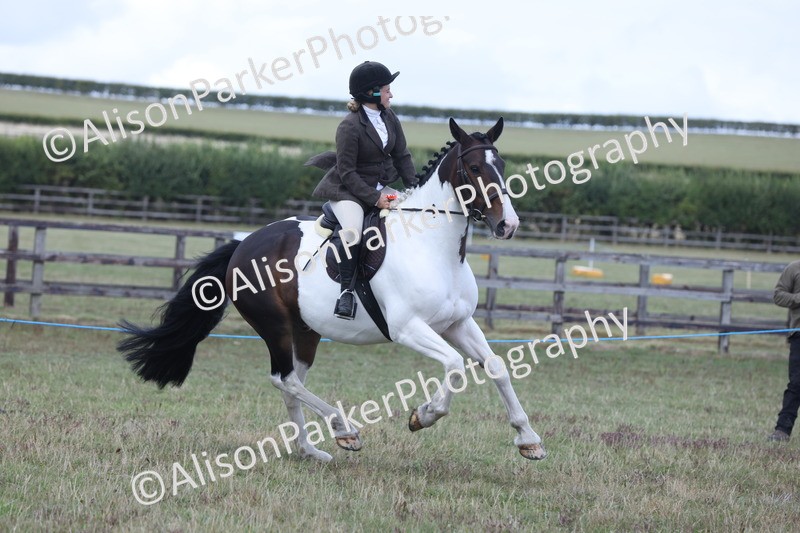 20250831-4382 - Class 20 - Ridden Coloured