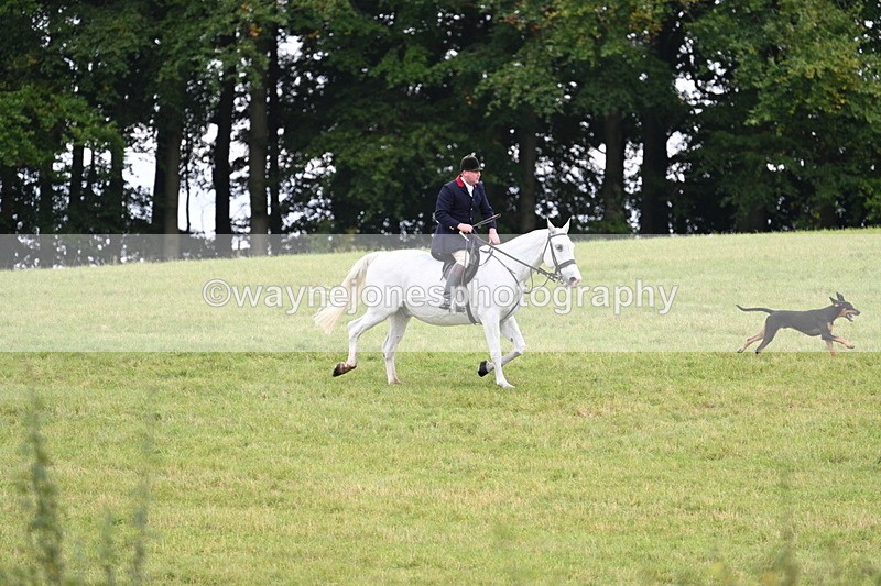 WJ7_4029 - Camera 1 Line 2