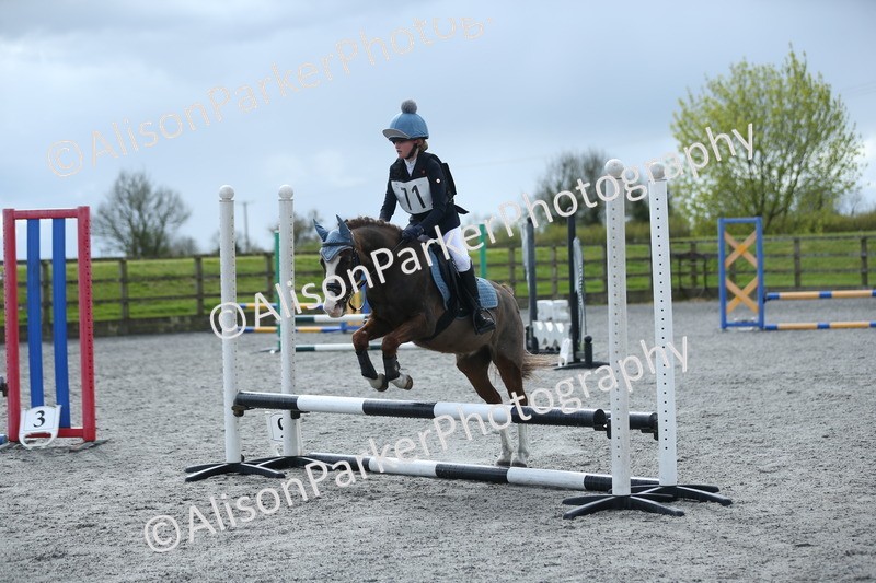 20260412-1716 - Show Jumping