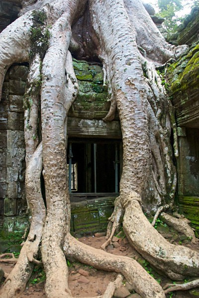  - Cambodia