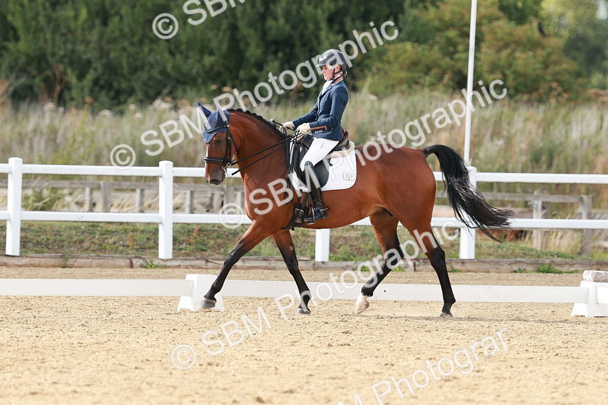 SBM_002503 - Class 11 - Medium 6