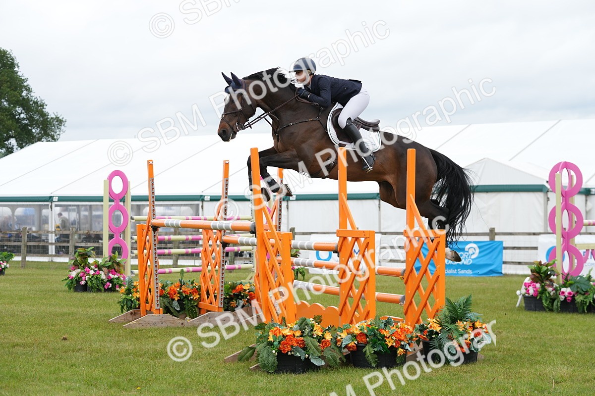 SBM_03065 - Class 201 - British Horse Feeds Speedi Beet Horse of the Year Show Grade  C