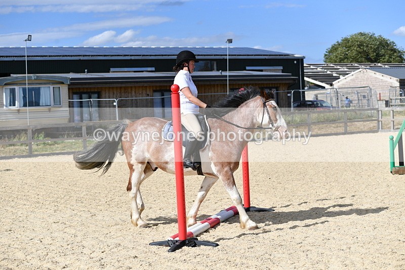 WJ5_5549 - Poles on the Floor