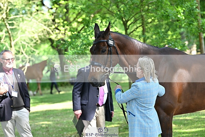 250521A-154311-00715 - B-358-Sammi.Birch-PARKFIELD.ARTIE.BLOU