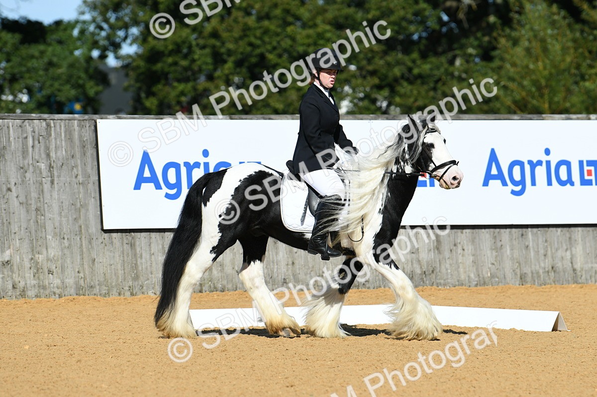 SBM_18080 - D4 - Small Tour Championship - Intro B