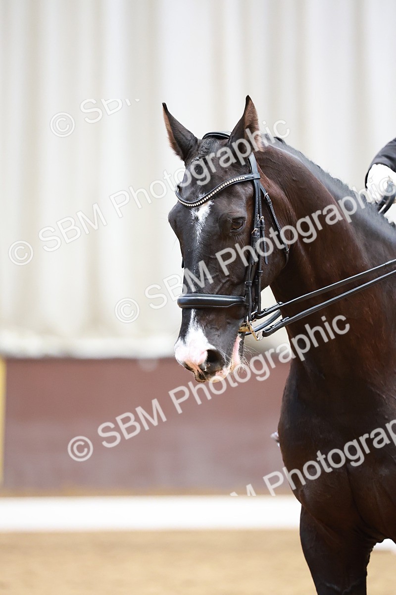 SBM_003526