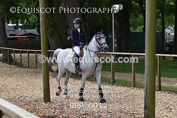 BPP_0012 - RHS 2019 Selection - *Just some random spectator shots so Lucky Dip if you are there!