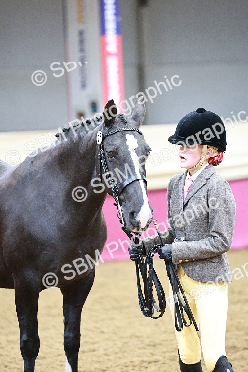 SBM_00171 - Class 1A - Area IH Diamond