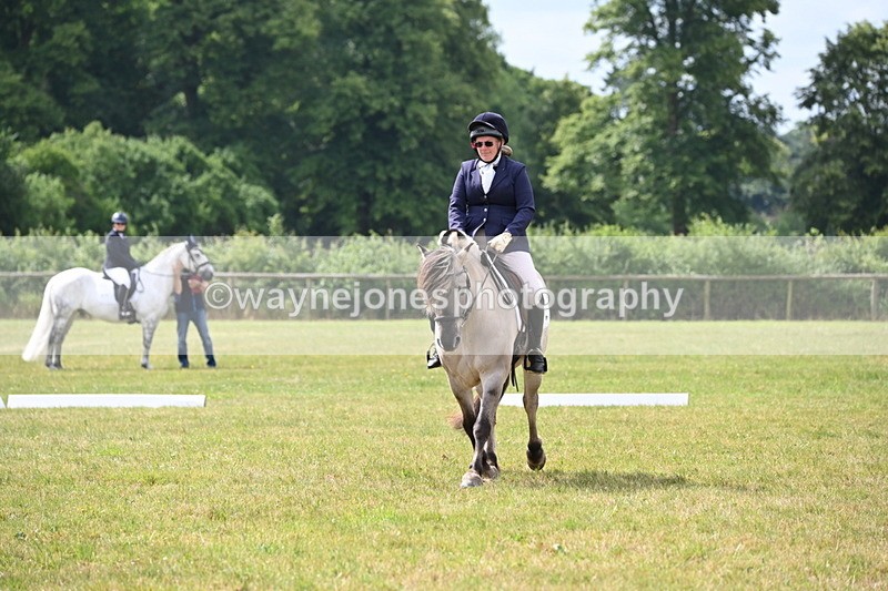 WJ6_6040 - Time 09:46 to 10:26