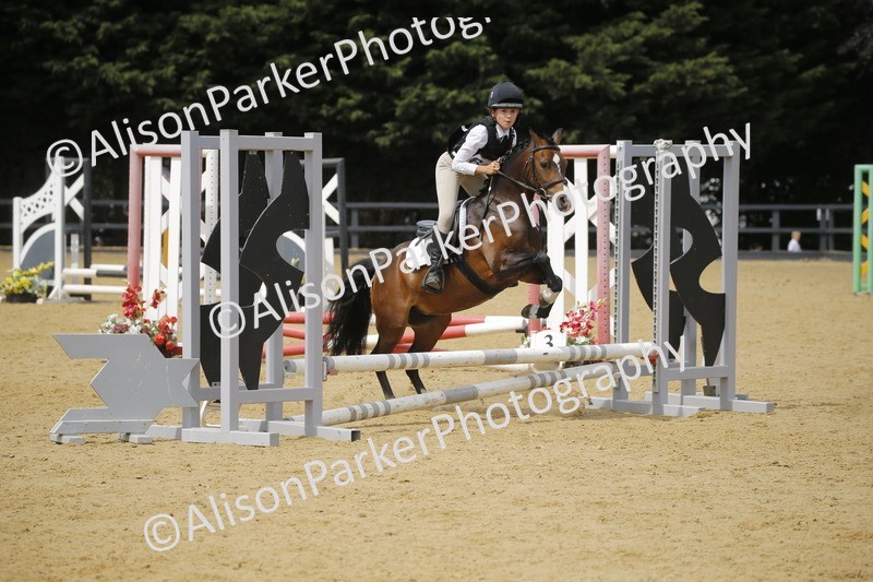 20250622-4605 - 50cm