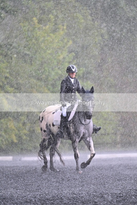 WJ7_8280 - Time 14:02 to 14:11