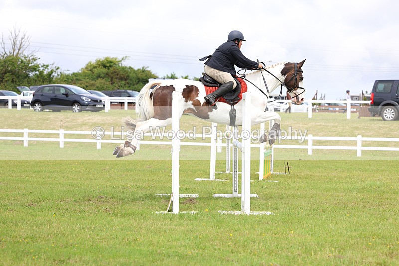 3E7A6788 - Class 11: Senior Newcomers/1.10 open