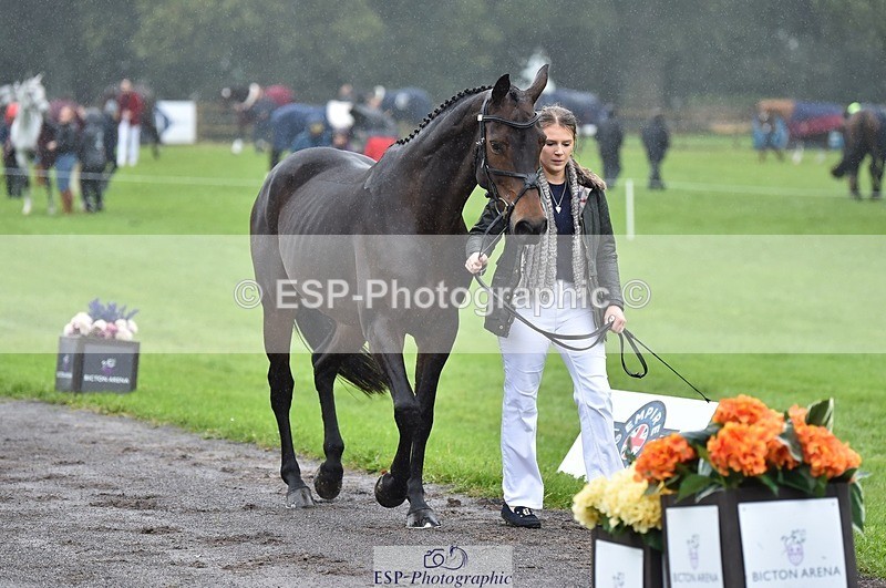 231018-121128-00128 - 021-DESTINY-Annie.Smith-TrotUp