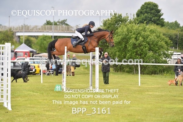 BPP_3161 - CLASS 2 SENIOR FOX/1.20M OPEN