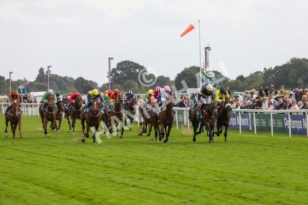 220824-Race 7-Alfa Kellenic-7880 - Race 7 5.20pm British EBF Fillies' Handicap