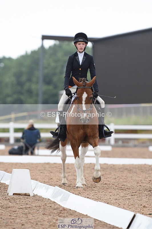 230708A-112452-01579 - Prelim 7