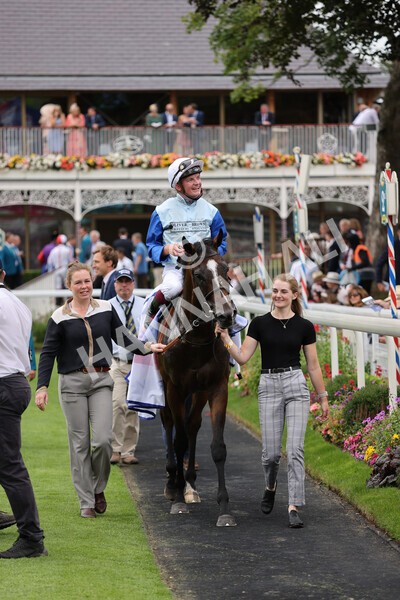 yr20082021r1-19 - Race 1 1.50pm Sky Bet Stakes
