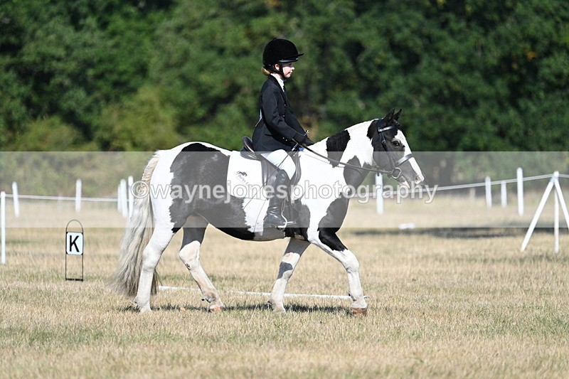 WJ7_9354 - Time 10:08 to 10:13