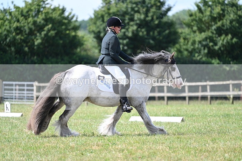 WJ7_3738 - Time 10:28 to 10:42