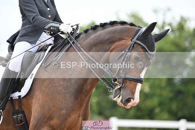 240621A-172711-05973 - Cls 14 BD Adv Medium 98