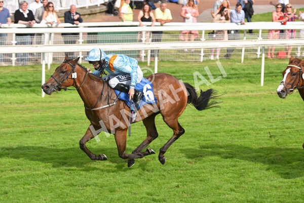 yr09072021r7-21 - Race 7 5.30pm William Hill Extra Place Races Stakes