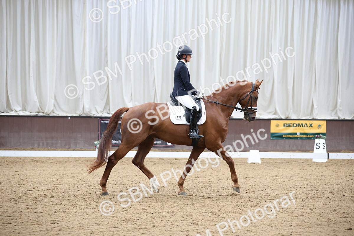 SBM_003264 - Class 5 - Novice 6 Gold - 11.41-12.51