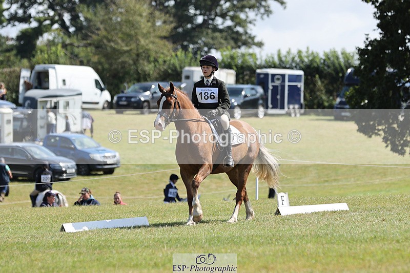 240824X-114838-26985 - D80 Section G and H 11.00 to 12.00