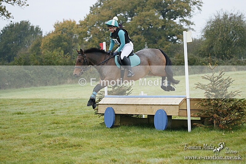 WWHT 181020 WWHT 181020 106 - WWEC Novice Restricted (0.80m) 18/10/20