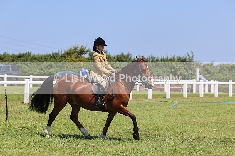 IMG_2308 - Class 38: Veteran Ridden