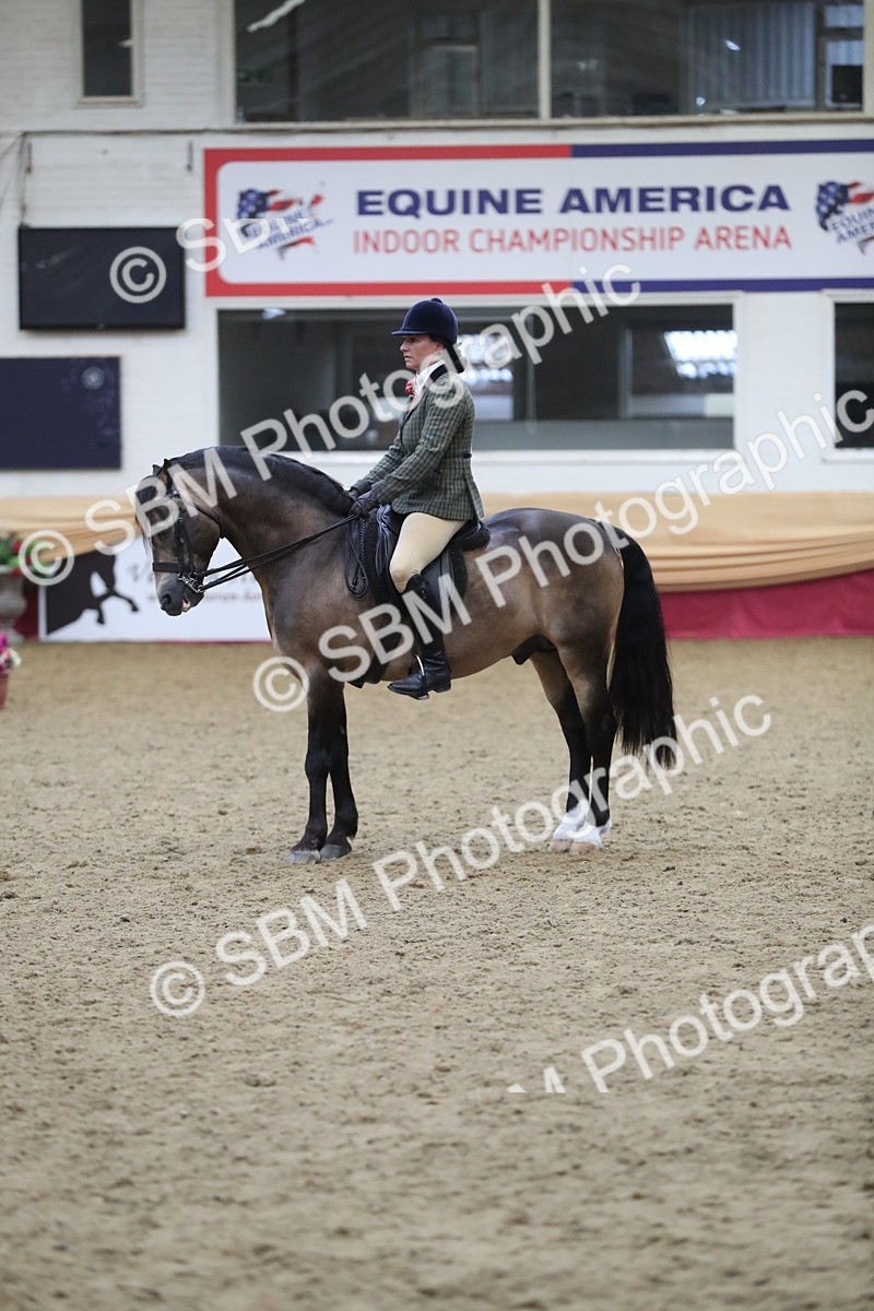 SBM_16429 - Class 502 M&M Ridden Supreme Final